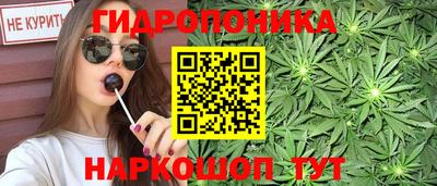 дурь Гатчина