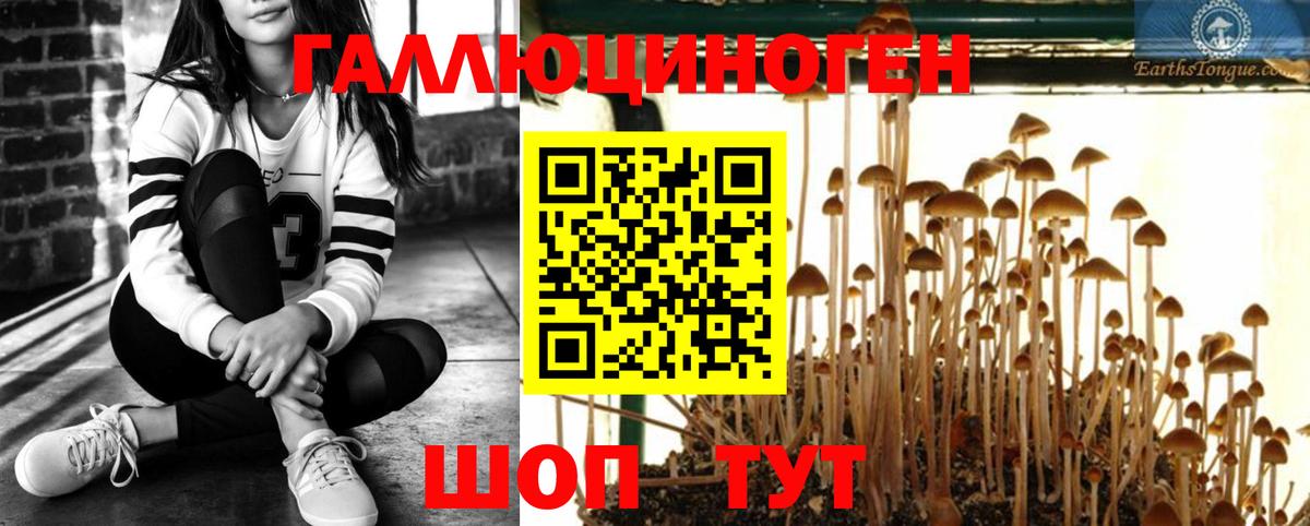 Галлюциногенные грибы мухоморы Мариинск